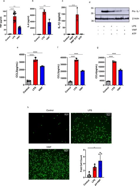 Vwf Induces Pro Inflammatory Cytokine And Chemokine Expression And