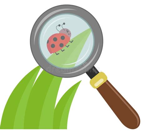 Vergrootglas Verhoogt De Kleine Ladybird Op Een Groen Blad Vector