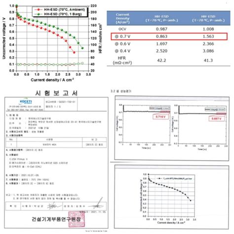 보고서 고분자 연료전지 성능 및 내구성 향상을 위한 멀티스케일 촉매층 기반 Mea 양산 기술 개발