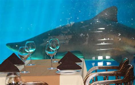 uShaka- amazing underwater restaurants | Underwater restaurant ...