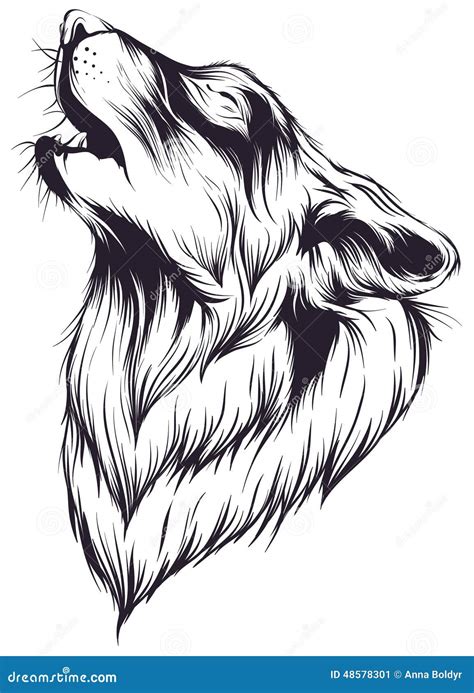 Lobo ilustração do vetor Ilustração de pintura animal 48578301