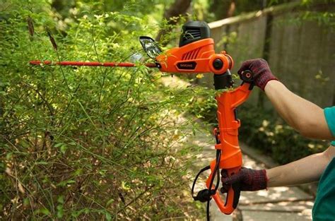 Best Pole Hedge Trimmers Of Compared Reviewed Wezaggle