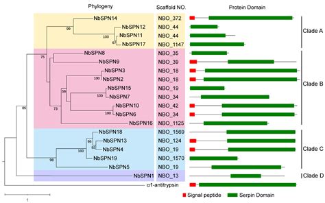 Ijms Free Full Text Genome Wide Characterization And Comparative