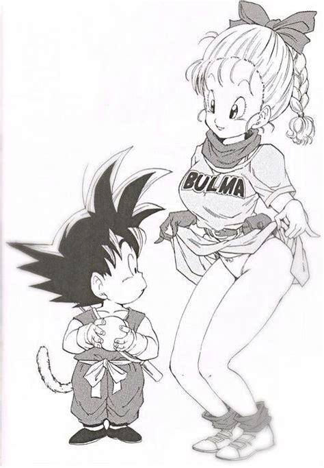 Bulma Briefs Wiki Anime Amino