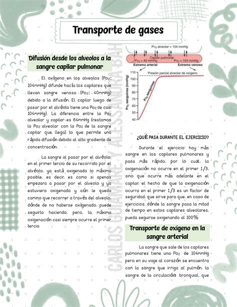 SOLUTION Transporte De Gases Fisiolog A Respiratoria Gu A De Estudio