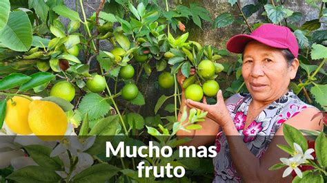 Como HACER Que Tus FRUTALES Siempre Esten Llenos De FLORES Y FRUTOS