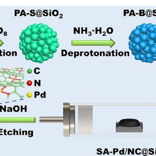 Schematic Illustration Of The Overall Synthetic Procedure For SA Pd NPC