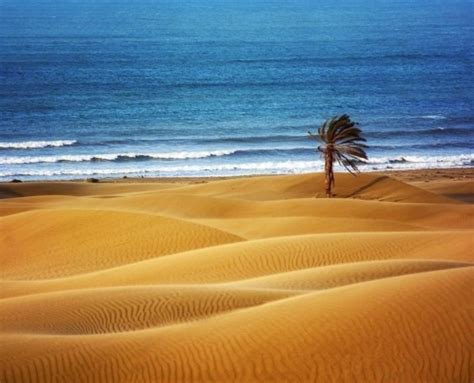 Top 10 Iran Deserts You Must Explore for an Unforgettable Journey