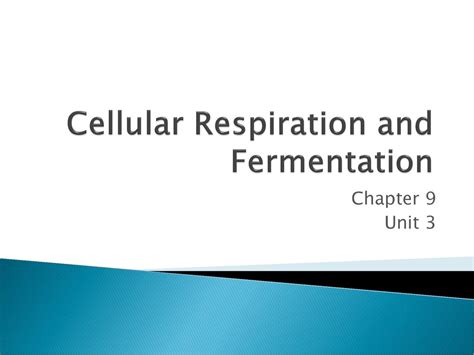 Cellular Respiration And Fermentation Ppt Download