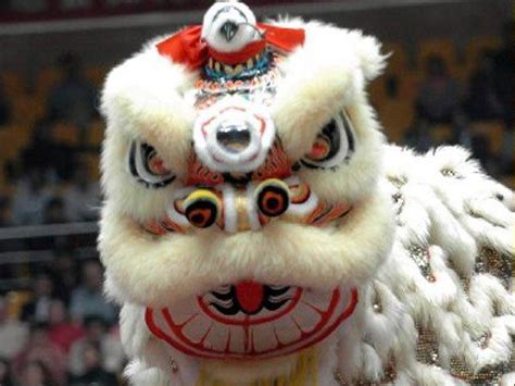 舞獅耍雜技是過年那味兒，可是南獅和北獅你知道嗎？發財中國年 - 每日頭條
