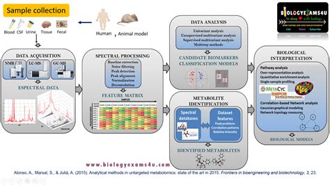 Definition of Metabolomics. How Metabolomics works? Major applications ...