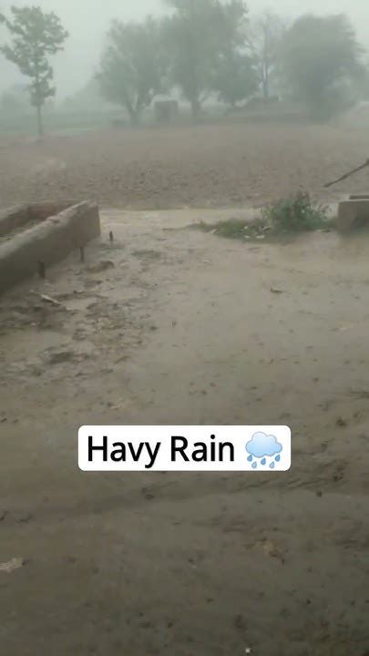 Havy Rain 🌧️ Youtube