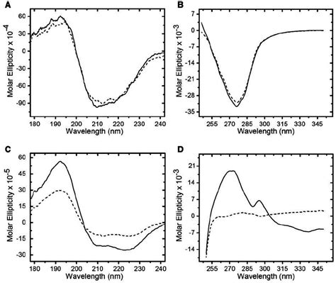 Circular Dichroism Cd Spectral Scans Of Rnase A And Myoglobin With Download Scientific