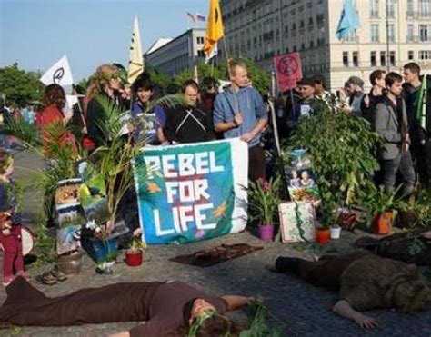 Ativistas Protestam Contra Desmatamento Da Amaz Nia Em Berlim Brasilagro