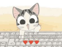 Office Cat Meme GIFs | Tenor