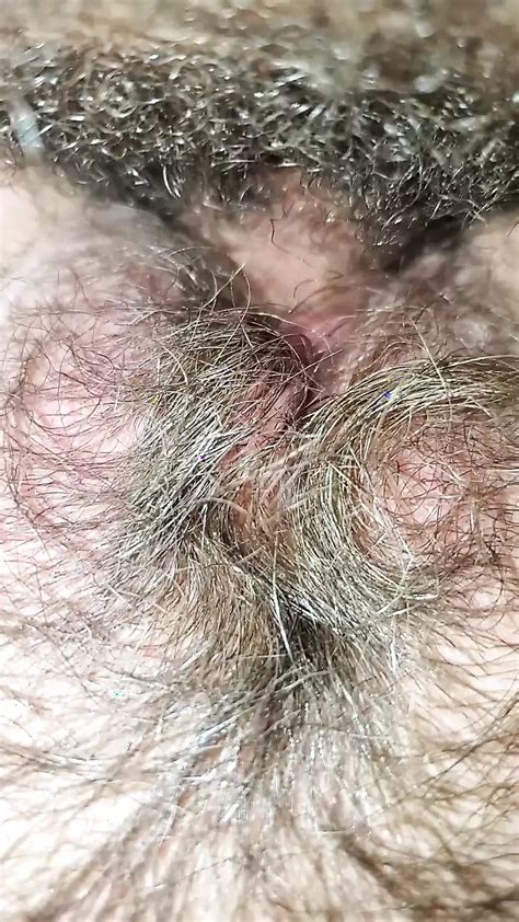 Free Bushy Pussy Porn Videos Xhamster