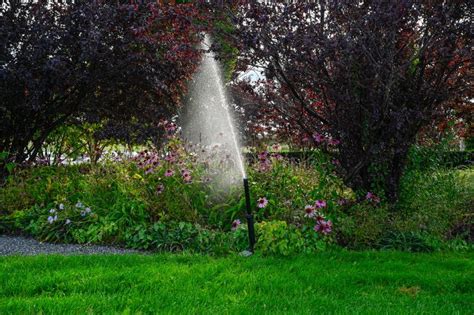 Water Sprinkler in Flower Bed in Public Garden Stock Image - Image of ...