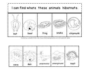 13 Best Images of Hibernation Worksheets For Preschoolers - Animals ...