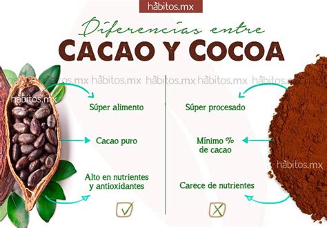 Diferencias entre CACAO Y COCOA Hábitos Health Coaching