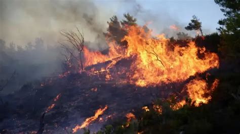 Los Fuegos En Grecia Siguen Fuera De Control Con Evacuaciones