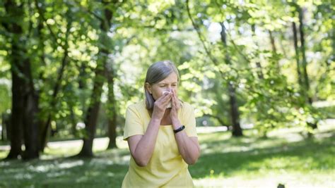 15 Fun Facts About Sneezing That May Surprise You