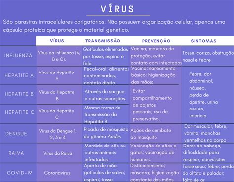 Conhe A Os Assuntos De Biologia Que Mais Caem No Enem