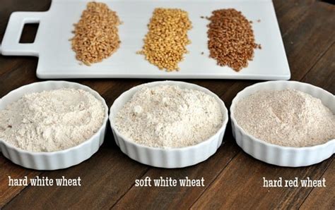 Wheat And Wheat Grinding 101