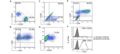 T Cell Differentiation From Ips Cells Mouse Ips Cells Were Co Cultured