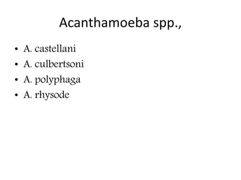 Free Living Amebae Naegleria Fowleri Acanthamoeba Balamuthia Mandrillaris Trichomonas