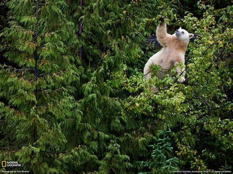 National Geographic Photo of The Day (August 2011) | Amazing Creatures