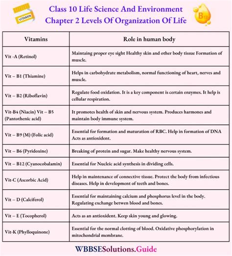 WBBSE Solutions For Class 10 Life Science Chapter 2 Levels Of