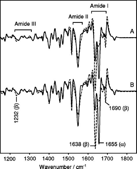 Comparison Of The Ir Spectra Second Derivatives Of Two Sera Solid Download Scientific