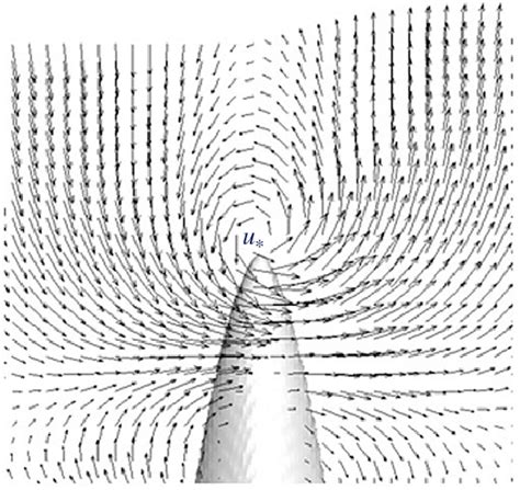 Schematic Representation Of A Curl Induced By Intensive Convective Flow