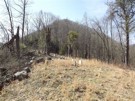 Van Buren Jarrell Cemetery In Van West Virginia Find A Grave Cemetery