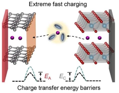 9篇angew，4篇am，joule、jacs、chem全球高被引科学家清华张强教授2022年成果精选！ 知乎