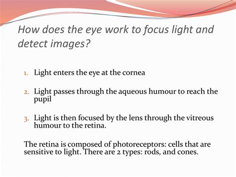 A3 Perception Of Stimuli Ppt Download