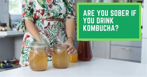 Are You Sober If You Drink Kombucha Read This Before Drinking Too Much