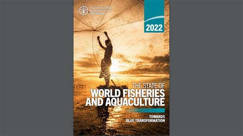 The State Of World Fisheries And Aquaculture 2022 Protein Report