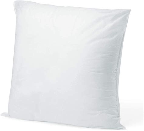 Pillow Insert 20" x 20" Polyester Filled Standard Cover: Amazon.ca ...