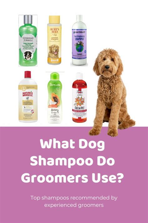 Best Dog Shampoo Ultimate List For Doodle Coat Care Various Purposes