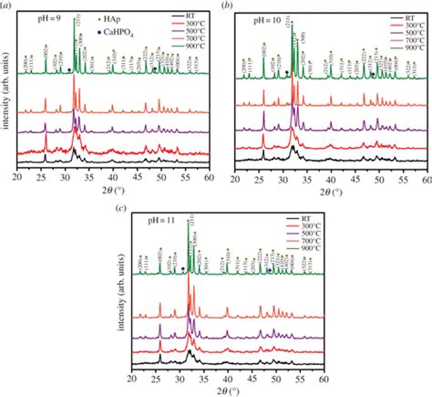 Wet Chemical Synthesis Of Nanocrystalline Hydroxyapatite Flakes Effect