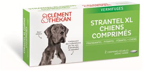 STRANTEL CHIENS XL 2 COMPRIMÉS