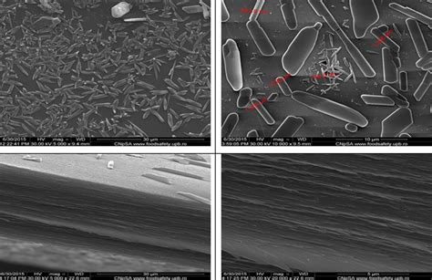 A Sem Of Speek Membrane Was Formed From Drying At C For H