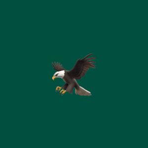 🦅 Eagle emoji Meaning | Dictionary.com