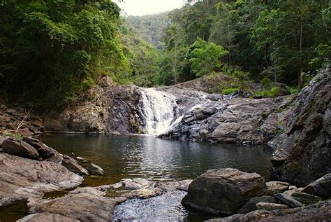 9 Of The Best Sunshine Coast Swimming Holes 2021 Discover Queensland