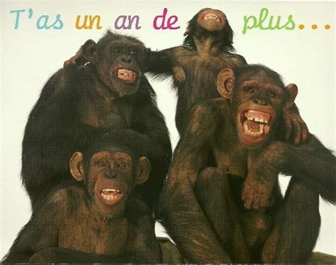 Carte Anniversaire Humour Singe Elevagequalitetouraine