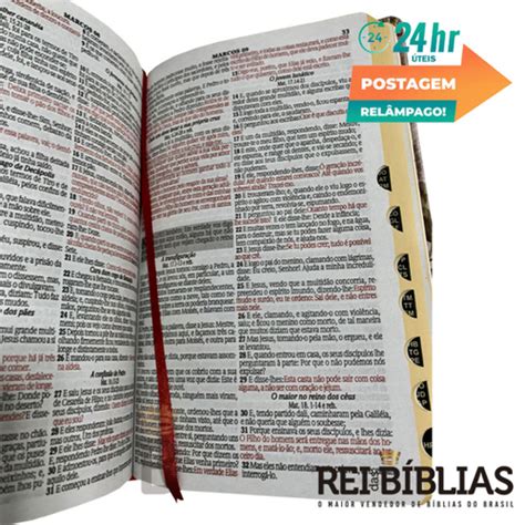 Biblia Sagrada Letra Gigante Luxo Popular Pink Harpa Mulher