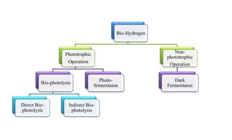 Biohydrogen Role In Indias Green Hydrogen Pathway