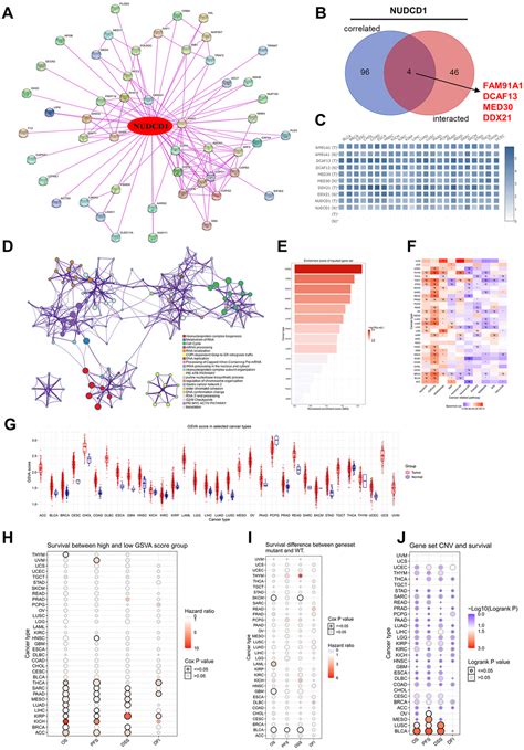 Identifying The Role Of NUDCD1 In Human Tumors From Clinical And