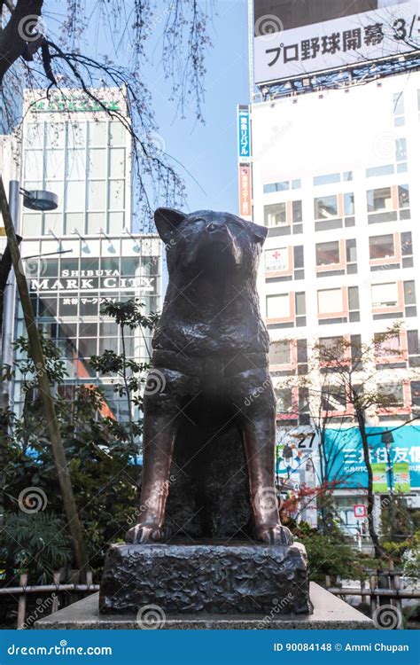 Hachiko Famous Japan Dog Statue As Landmark At Shibuya Tokyo Tourist